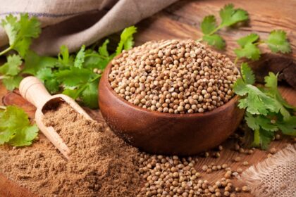 Exploring-the-Incredible-Benefits-of-Coriander-Seeds